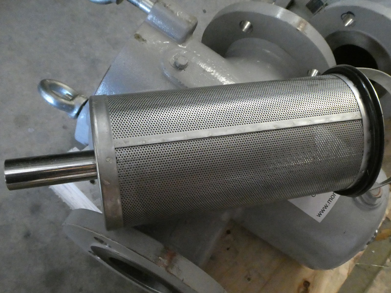 Flushing Strainers